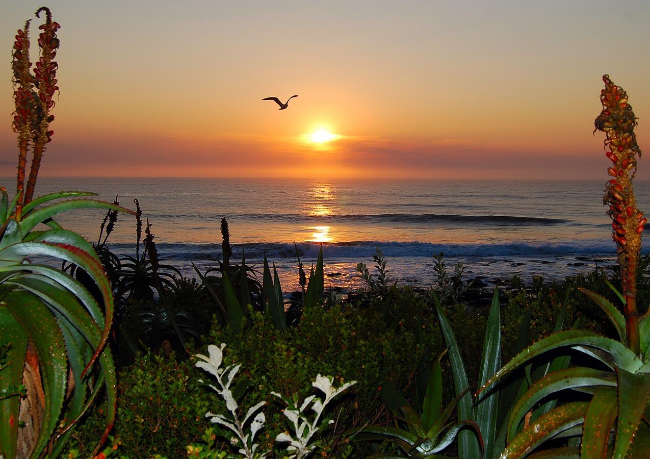 Hotel Aloe Again Jeffreys Bay Exterior foto